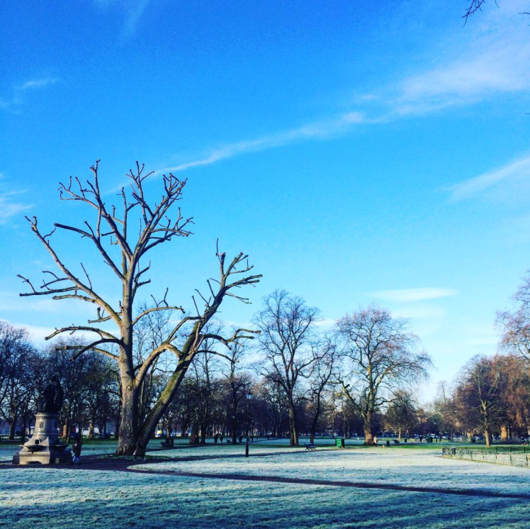 Clapham Common in the winter